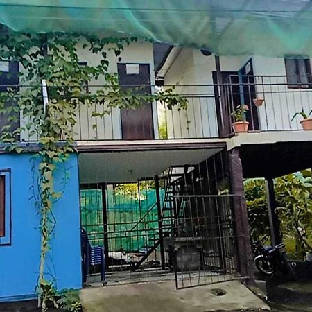Hostal Isla Natal Moyogalpa Eksteriør billede