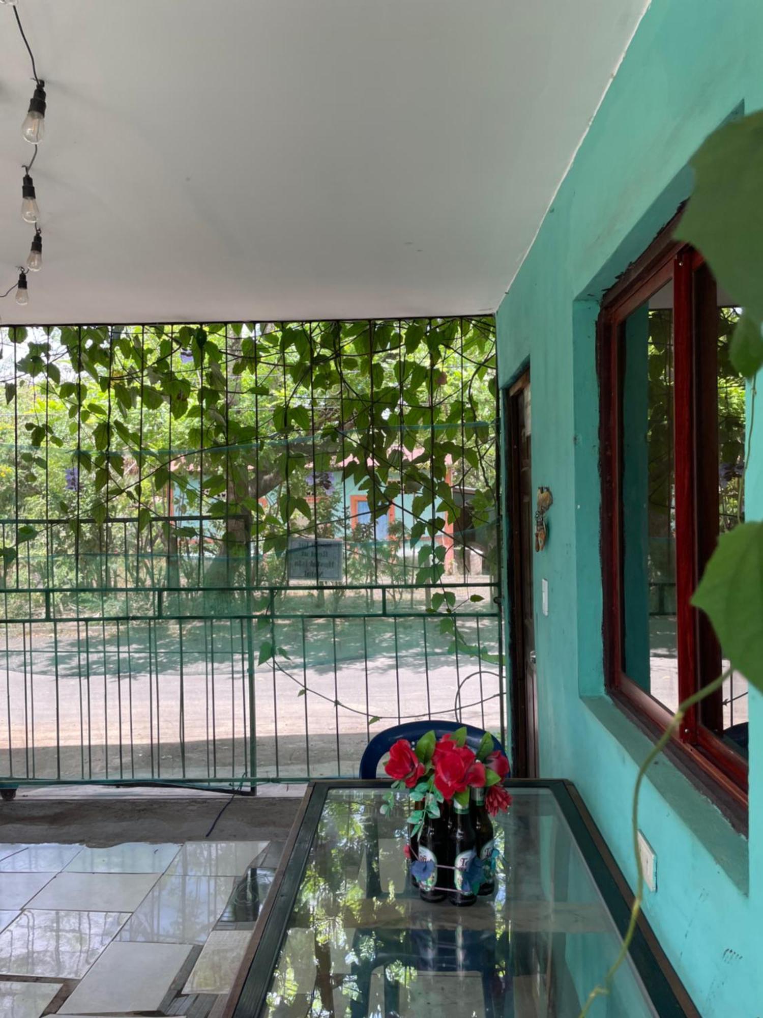Hostal Isla Natal Moyogalpa Eksteriør billede