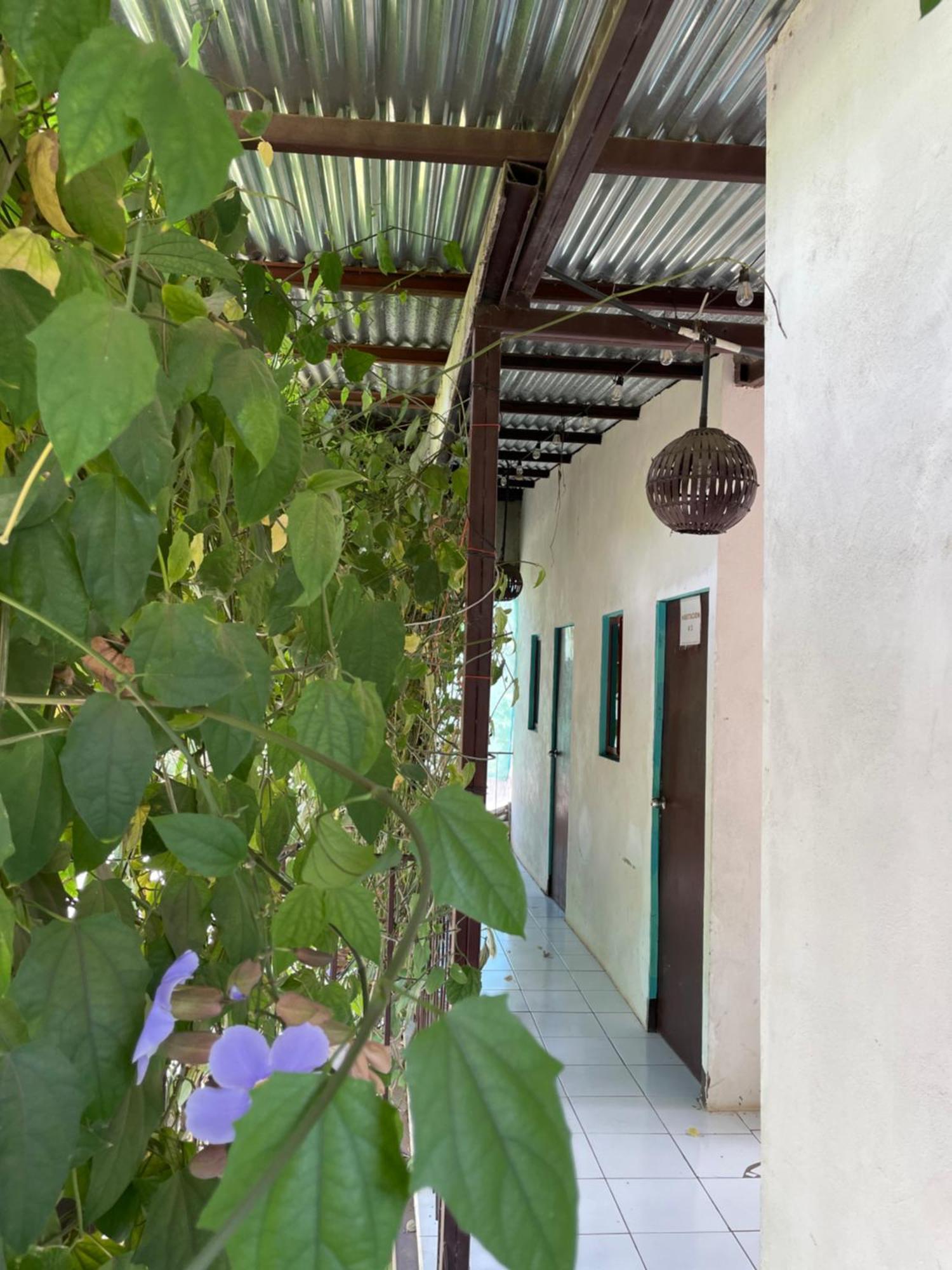 Hostal Isla Natal Moyogalpa Eksteriør billede